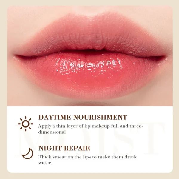 Coconut Lip Balm Lasting Nourishment and Moisture for Men and Women Daily Care Lip Balm - Image 5